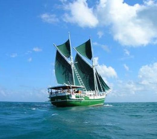 Spaboat