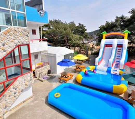 Taean Sunflower Dog Pension