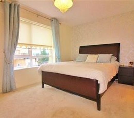 Saleem Holiday House