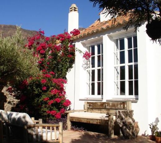Casa Rural Palomar - Men Only
