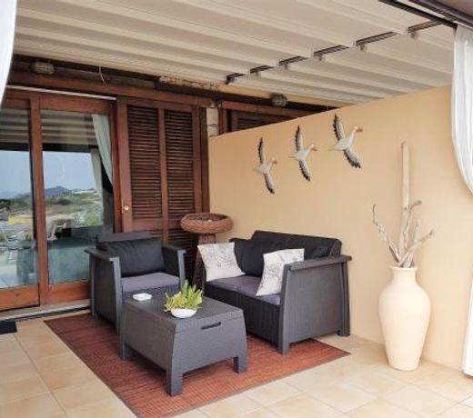 B&B Mistral