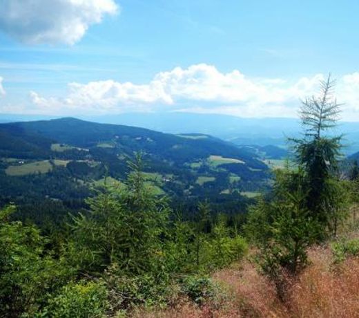 Sternen-Chalet