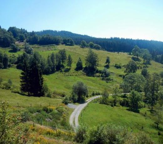 Sternen-Chalet