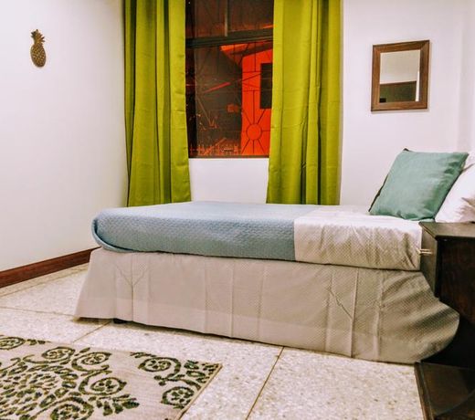 Stray Cat Hostel