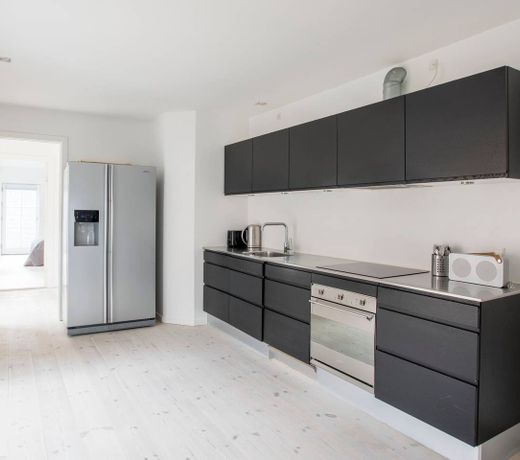 Luxury Penthouse in the Center of Copenhagen