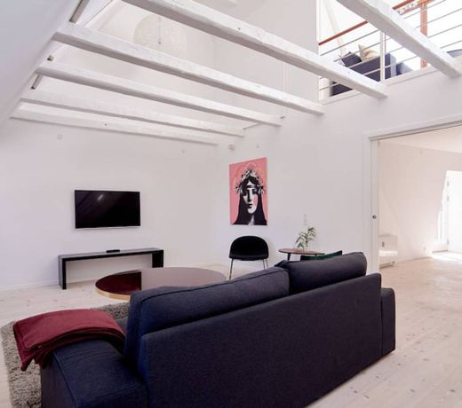 Luxury Penthouse in the Center of Copenhagen