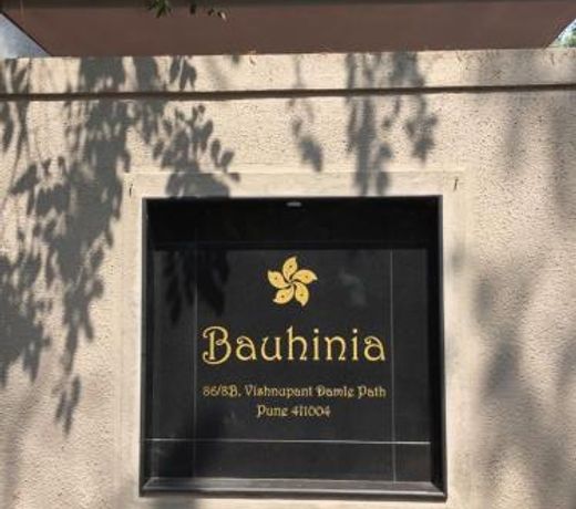 Bauhinia