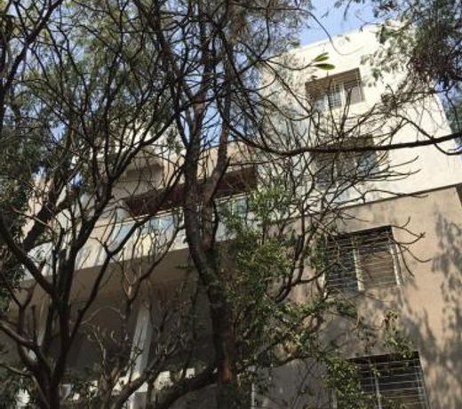 Bauhinia