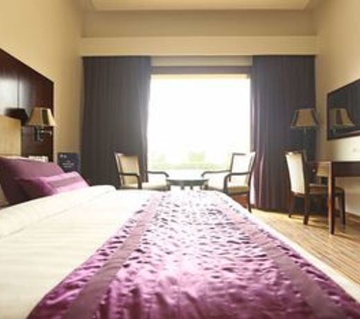 OYO 9642 Hotel Mohan Vilaas