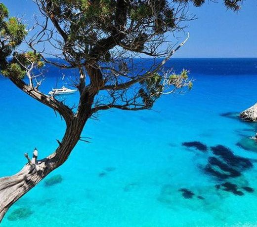 nel Cuore di Palau