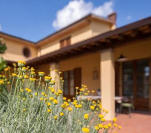 Poggio Pellicciaia