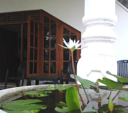 Aruliya Ayurveda Resort Galle