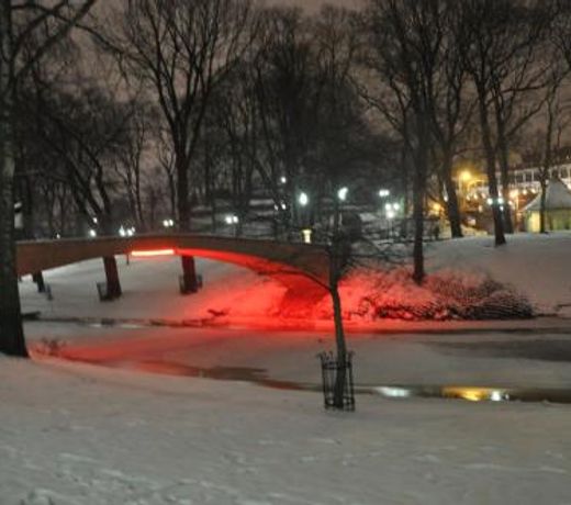 Baltic Amber in Diplomatic District & Free Parking