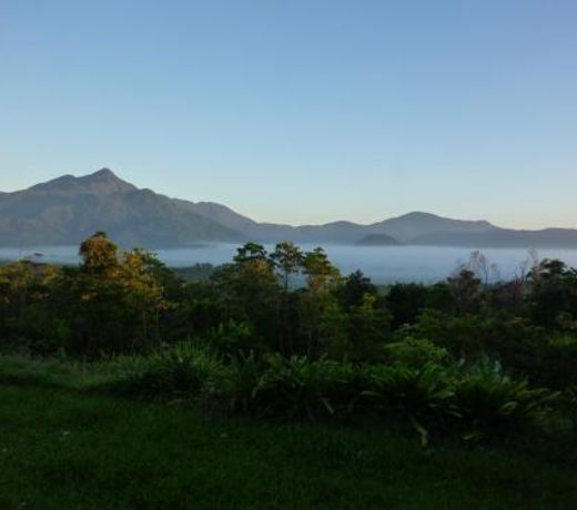 Wompoo Eco Retreat