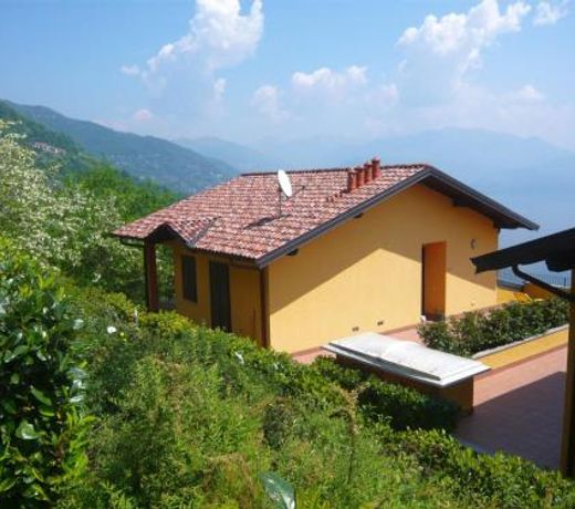 Il Vigneto