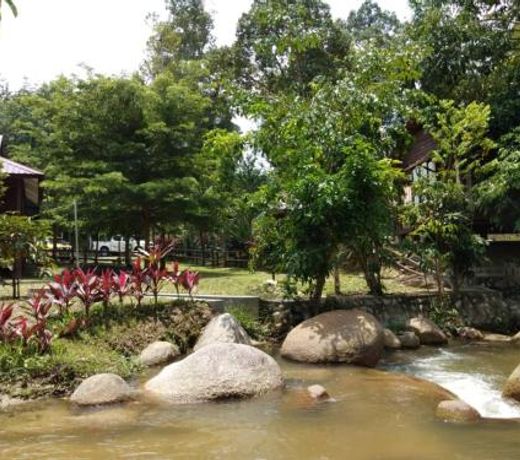 D'Impiana Riverview