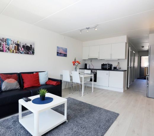 Sonderland Apartments - Rubina Ranas gate 1 (Sleeps 4 - 1 BR)