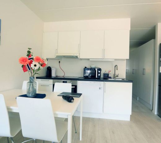 Sonderland Apartments - Rubina Ranas gate 1 (Sleeps 4 - 1 BR)