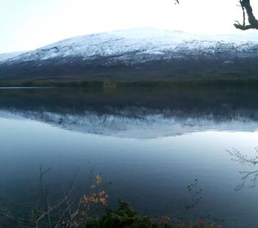 Lesjaskogsvatnet Camping
