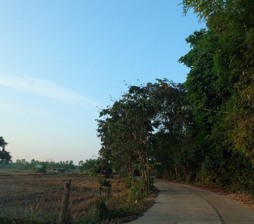 Plern Resort