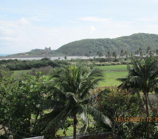 Ocean Mambo Bed and Breakfast