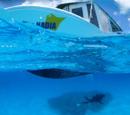 GUESTHOUSE & DIVING  SEACORO
