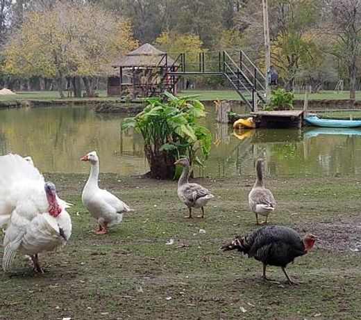 La Justina - Nuestro Campo