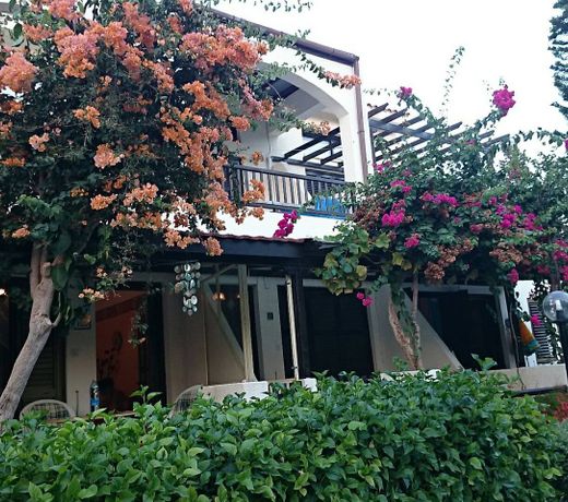 Ibiscus Holiday Apartment