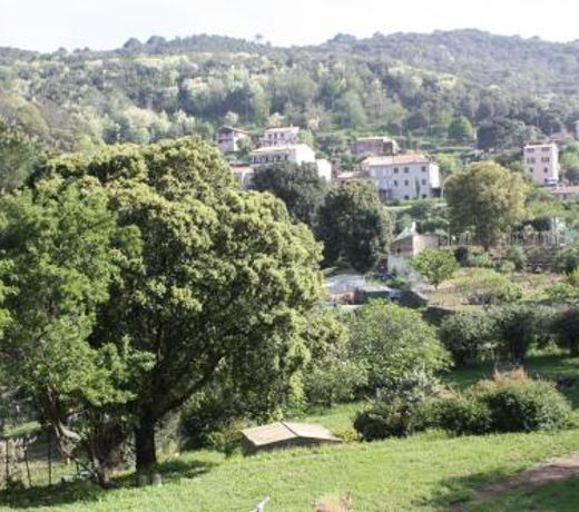 A CARDICCIA Loc saisonniÃ¨res PIANA