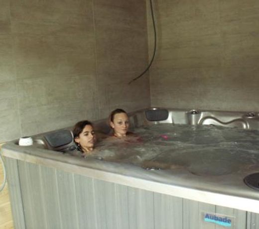 chalet vosgien