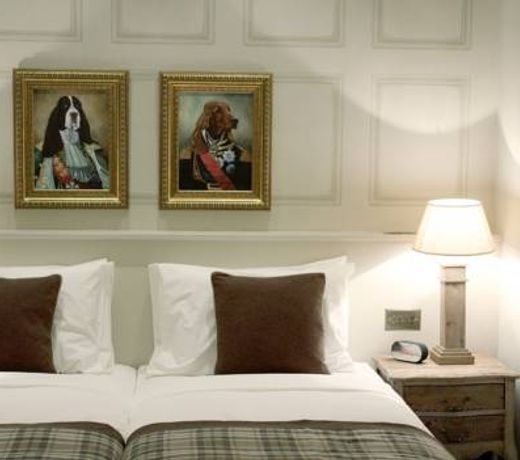 The Grafton Arms Pub & Rooms