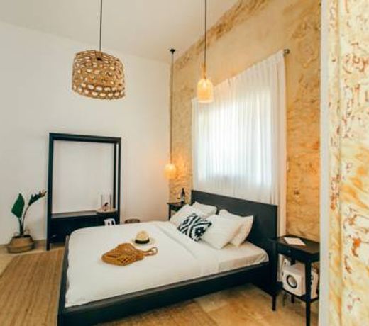 Hotel Anilevich Mansion