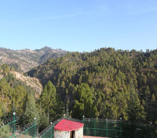 OYO 12315 Home 1BHK Cottage Mukteshwar Thatasthu