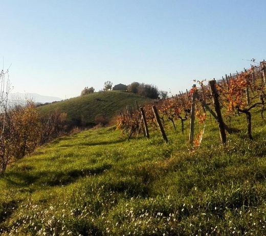 Agricola Lanciani