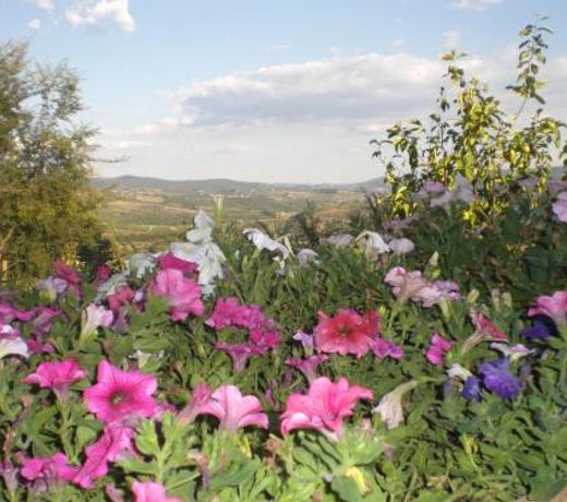 Chiantivillas Poggio a Vento