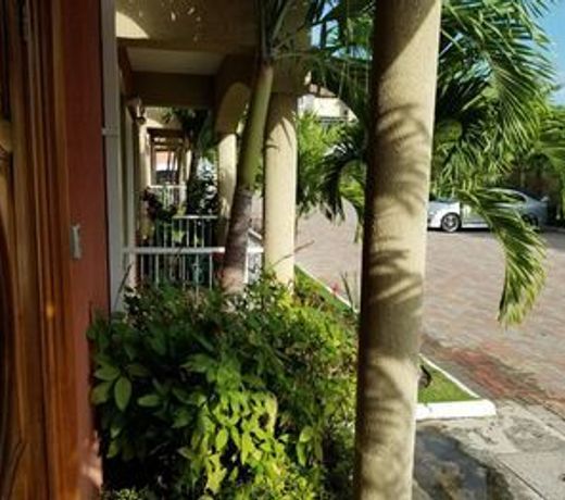 Palms of Liguanea