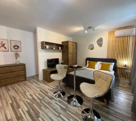 Urseni Studio Apartment
