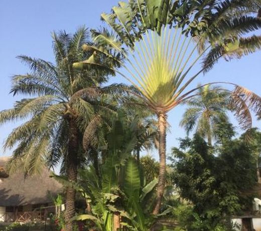 Les Maisons De Marco SENEGAL - B&B