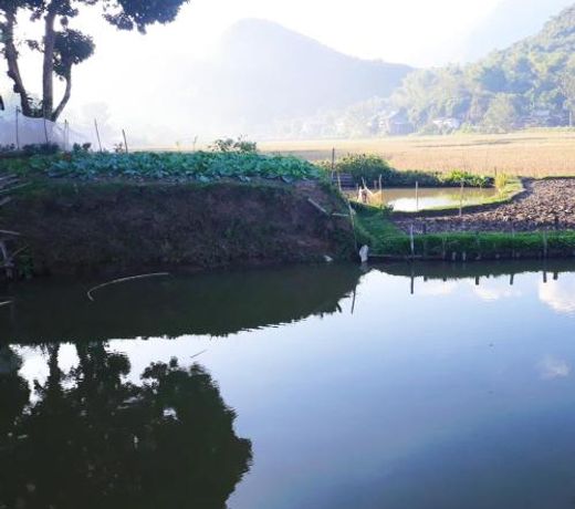 Little Mai Chau Home Stay