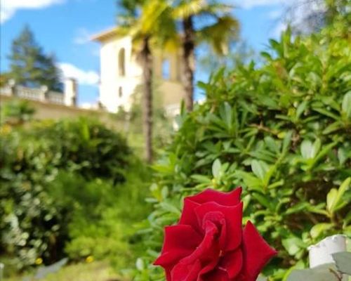 Amra Park-hotel & Spa - Гагра - фото 20