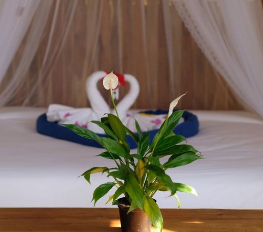 Phu Quoc EcoLodge