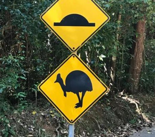 Daintree Magic Holiday House