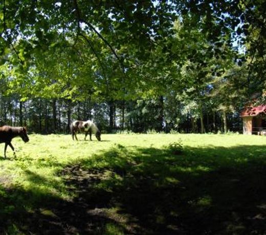 Hof Olde Warft