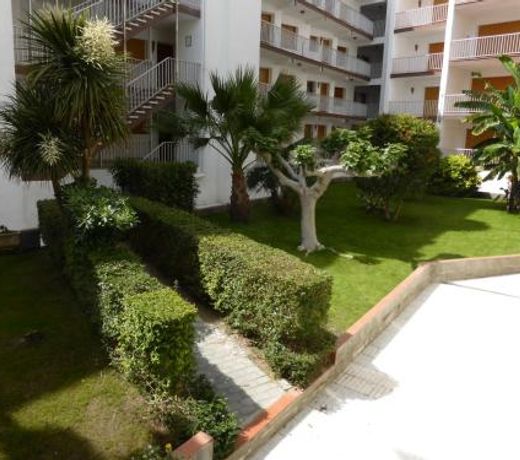 RNET - La Solana Casa Dani
