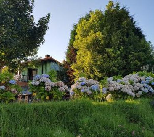 Apartamentos Rosa Jove