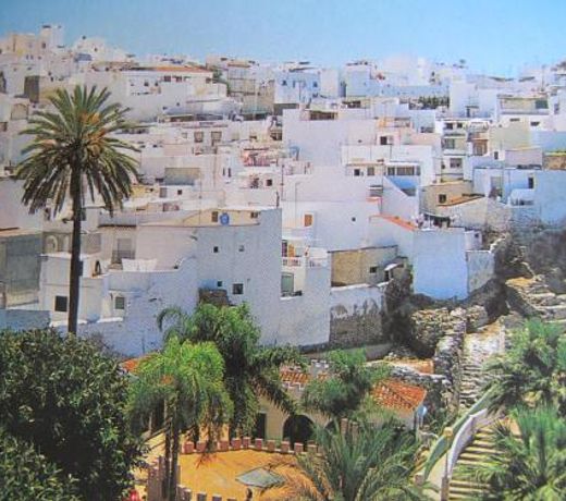 Central AlmuÃ±ecar, Beach Playa 125 metres, by Old Town
