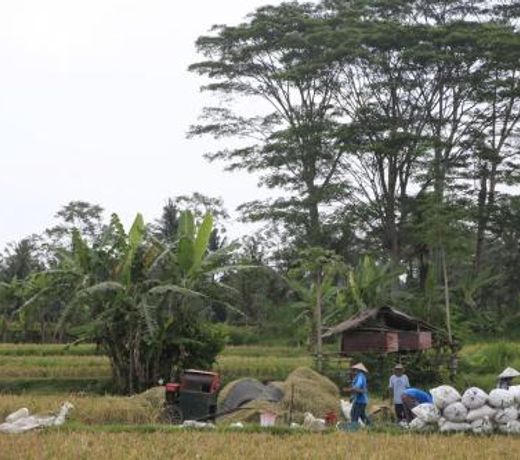 Pondok Gepokan Homestay