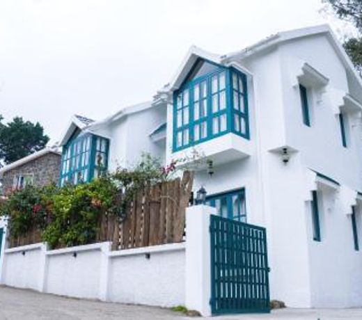 Hydrangea Villa