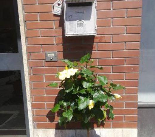 Affittacamere La Terrazza