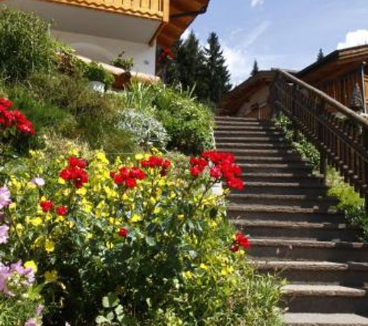Adamello Brenta Sunshine